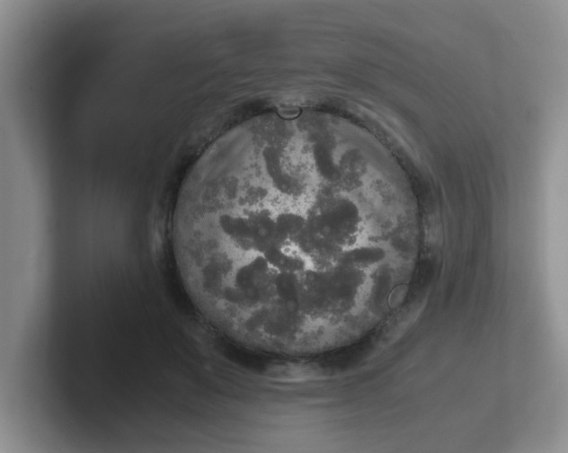 X0000102300503200808081547