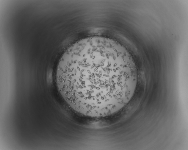 X0000102300504200808081547