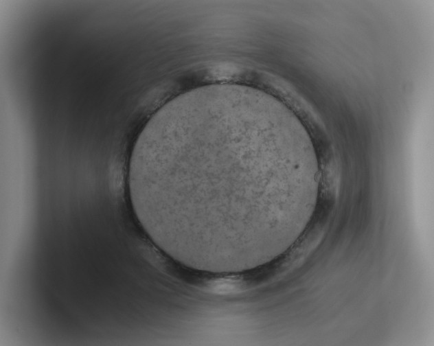 X0000102300505200808081547