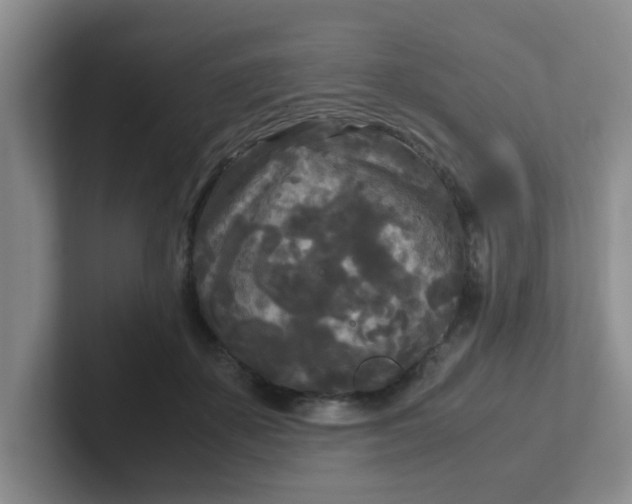 X0000102300507200808081547