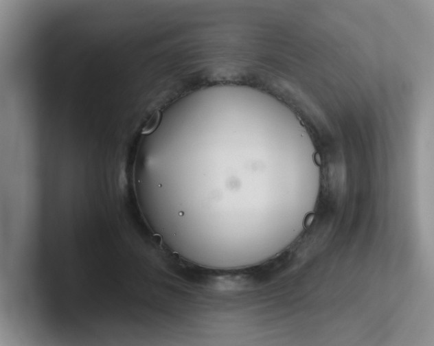 X0000102300508200808081547