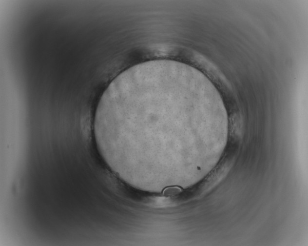 X0000102300509200808081547