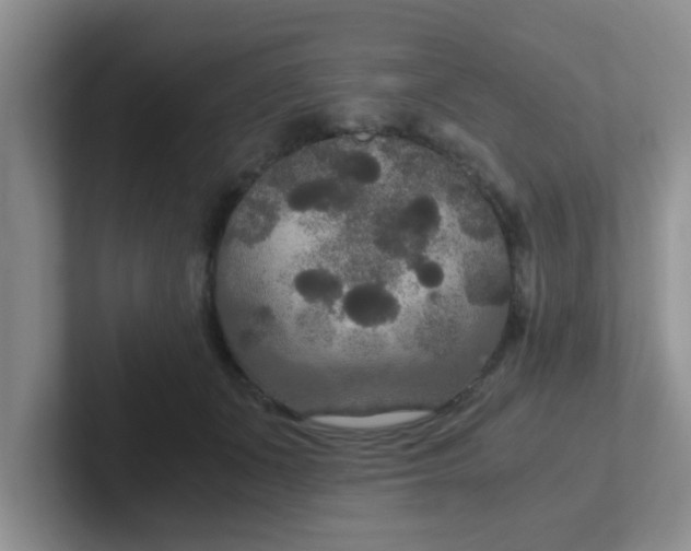 X0000102300511200808081547