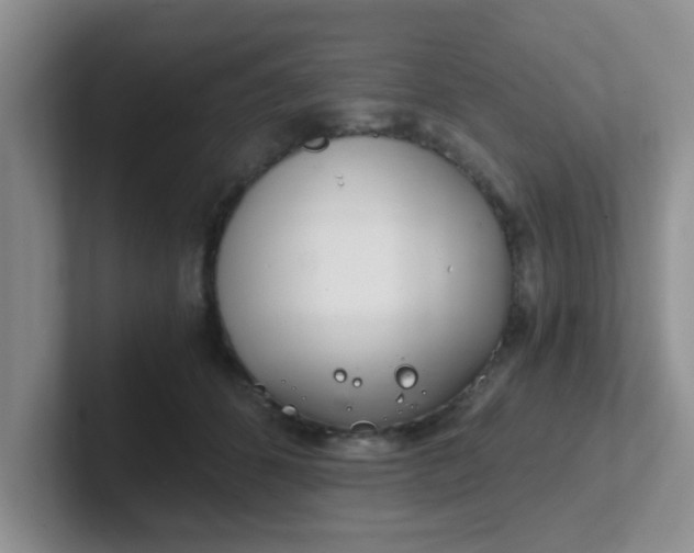 X0000102300512200808081547