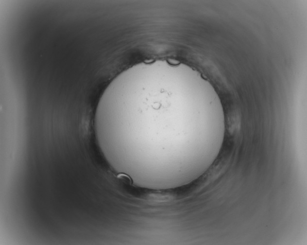 X0000102300515200808081547