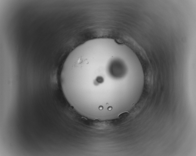 X0000102300516200808081547