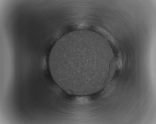 X0000102300520200808081547