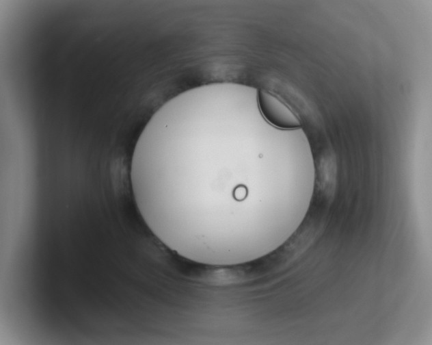 X0000102300522200808081547