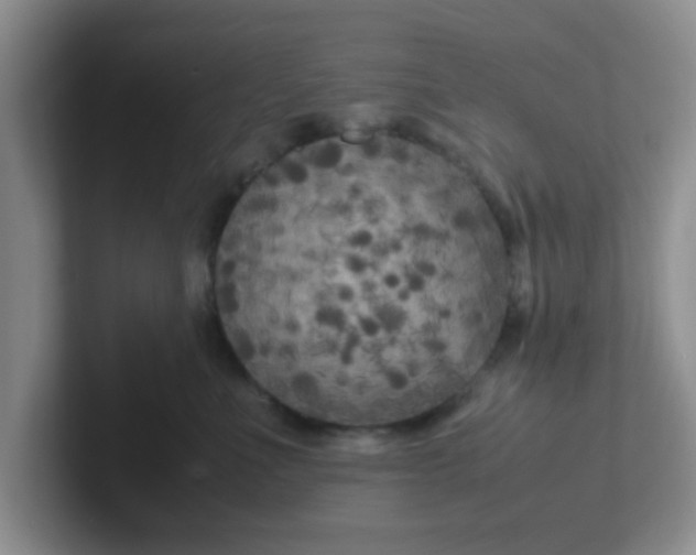 X0000102300523200808081547