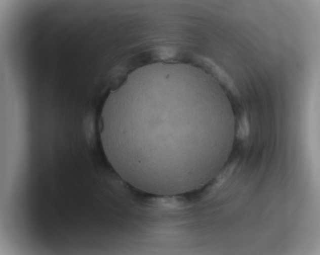 X0000102300524200808081547