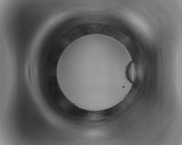 X0000102300526200808081547