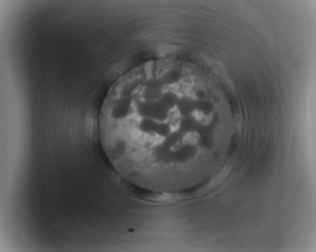 X0000102300527200808081547