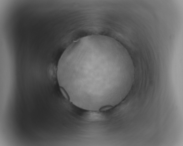 X0000102300528200808081547