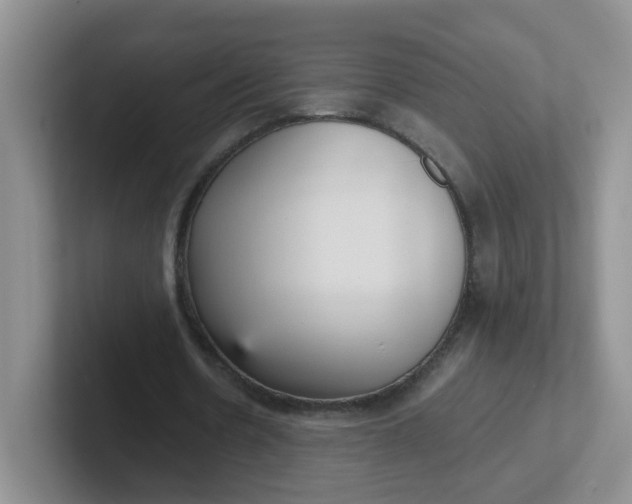 X0000102300530200808081546