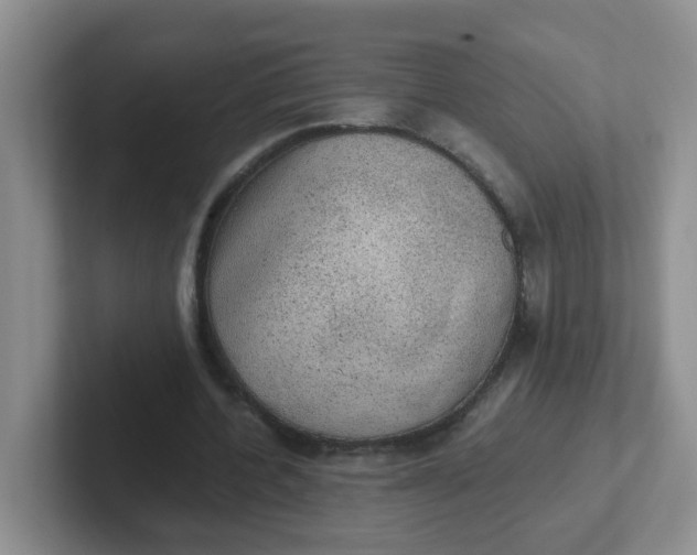 X0000102300532200808081546