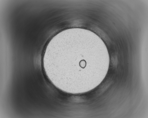 X0000102300534200808081546