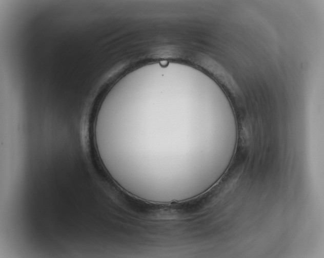 X0000102300535200808081546