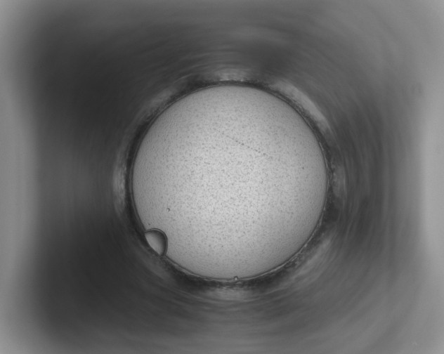 X0000102300537200808081546