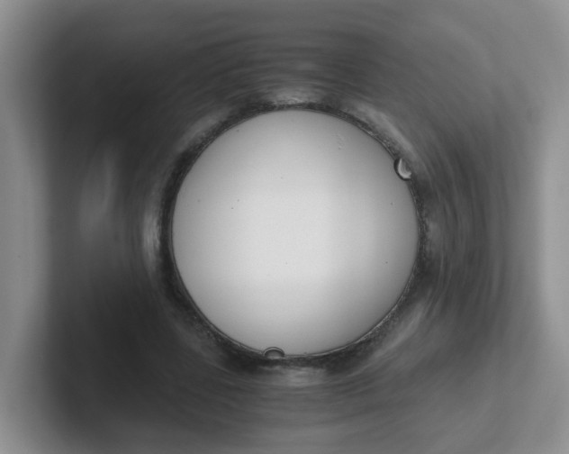 X0000102300539200808081546