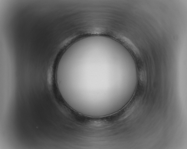 X0000102300540200808081546