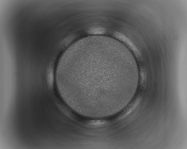 X0000102300541200808081546