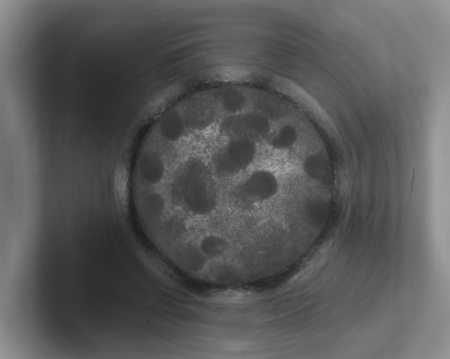 X0000102300542200808081546