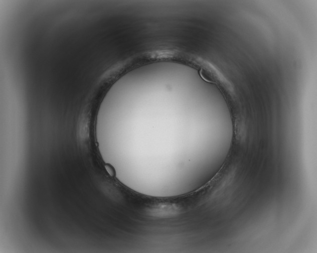 X0000102300543200808081546