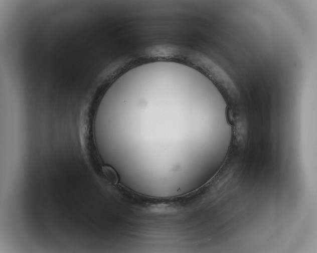 X0000102300544200808081546