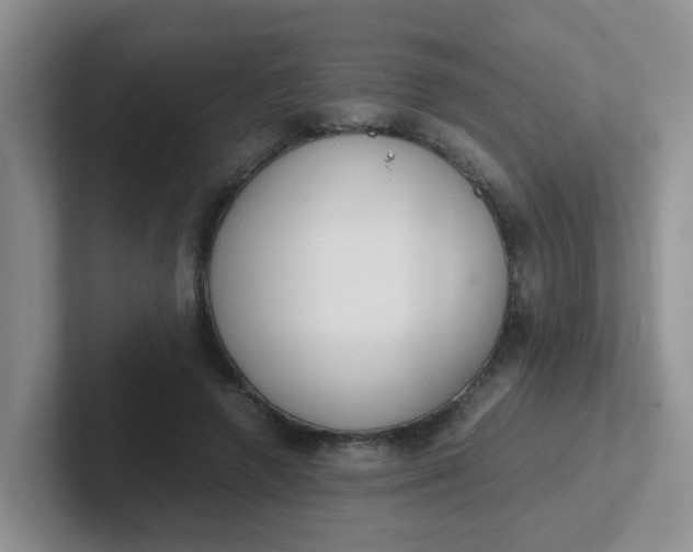 X0000102300546200808081546