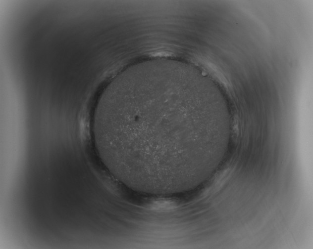 X0000102300547200808081546