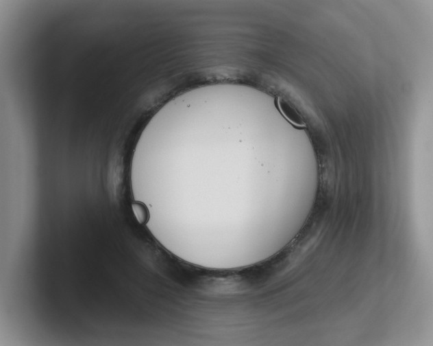 X0000102300548200808081546