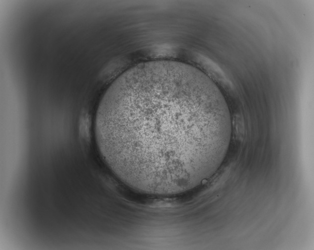 X0000102300550200808081547