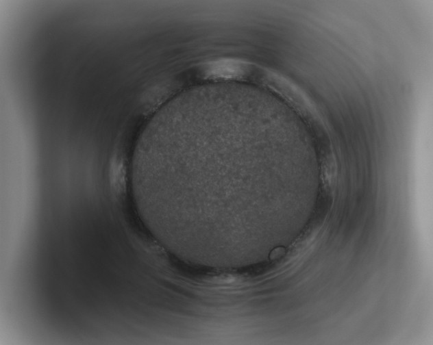 X0000102300551200808081547