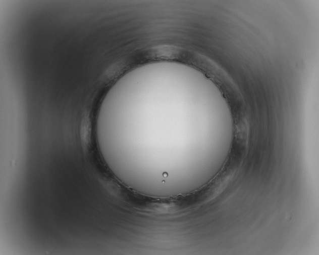 X0000102300552200808081547