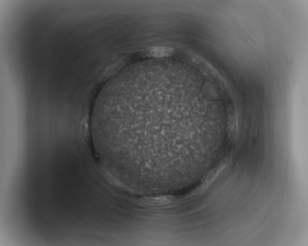 X0000102300553200808081547