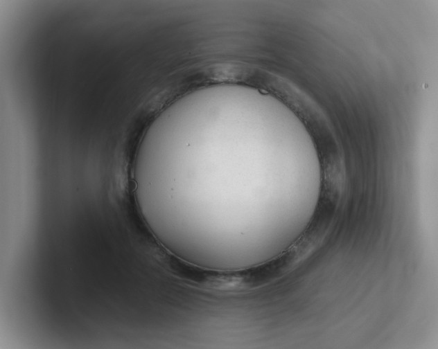 X0000102300554200808081547