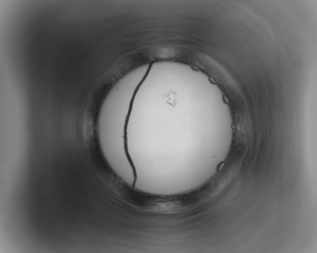 X0000102300555200808081547