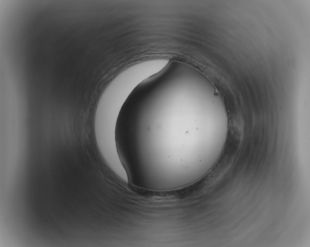 X0000102300556200808081547