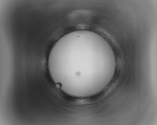 X0000102300557200808081547