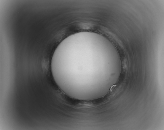 X0000102300559200808081547