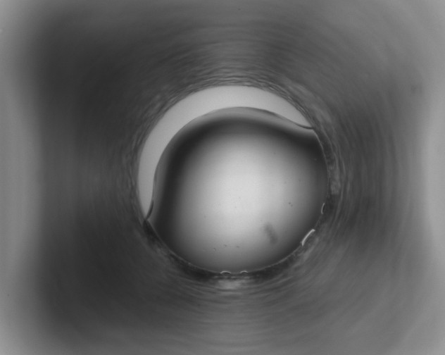 X0000102300560200808081547