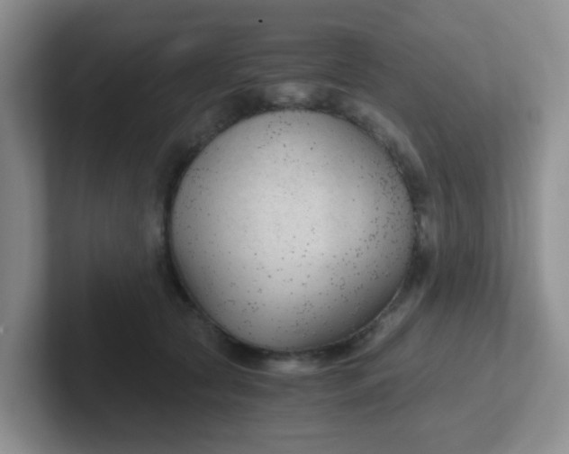 X0000102300561200808081547