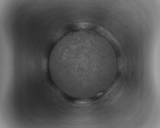 X0000102300563200808081547