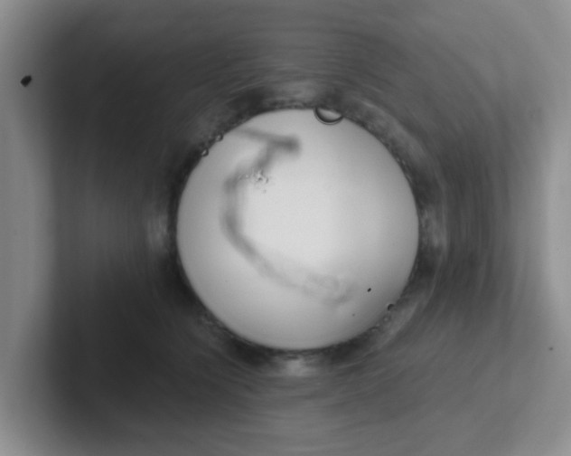 X0000102300564200808081547