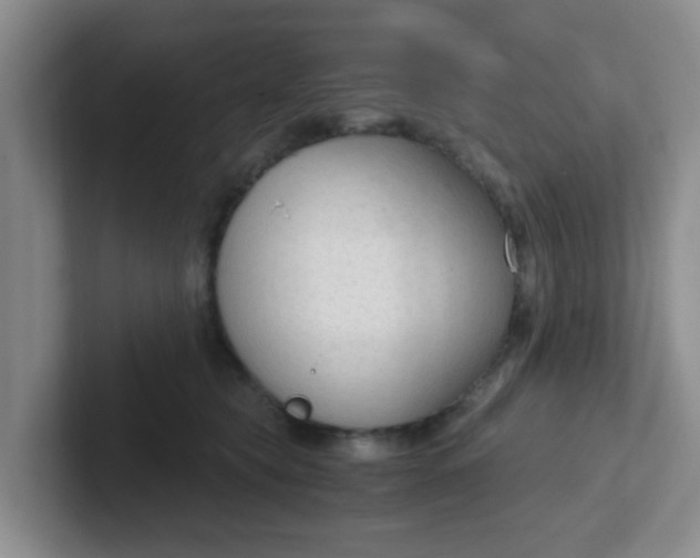 X0000102300565200808081547