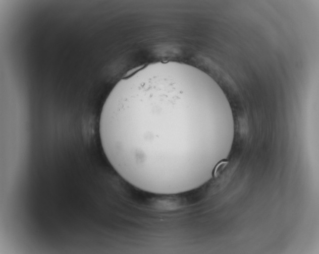 X0000102300567200808081547