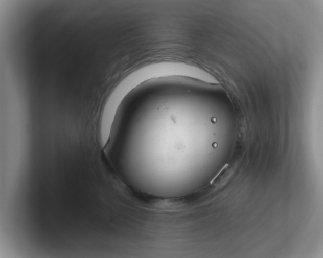 X0000102300568200808081547