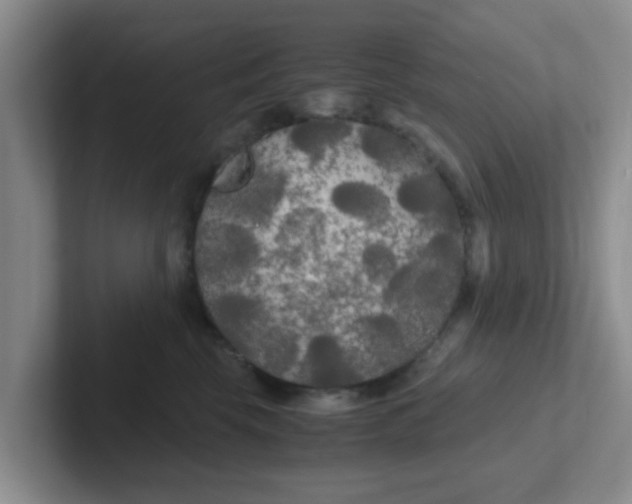 X0000102300569200808081547