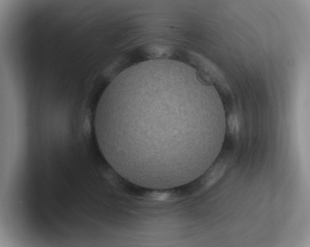 X0000102300570200808081547