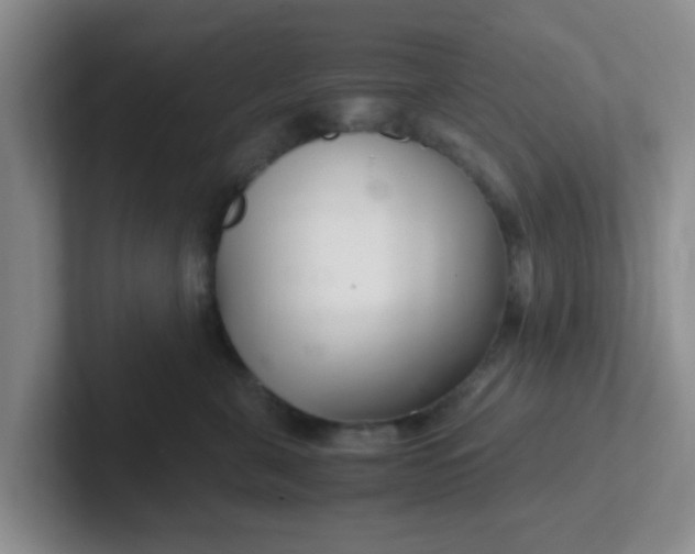 X0000102300571200808081547